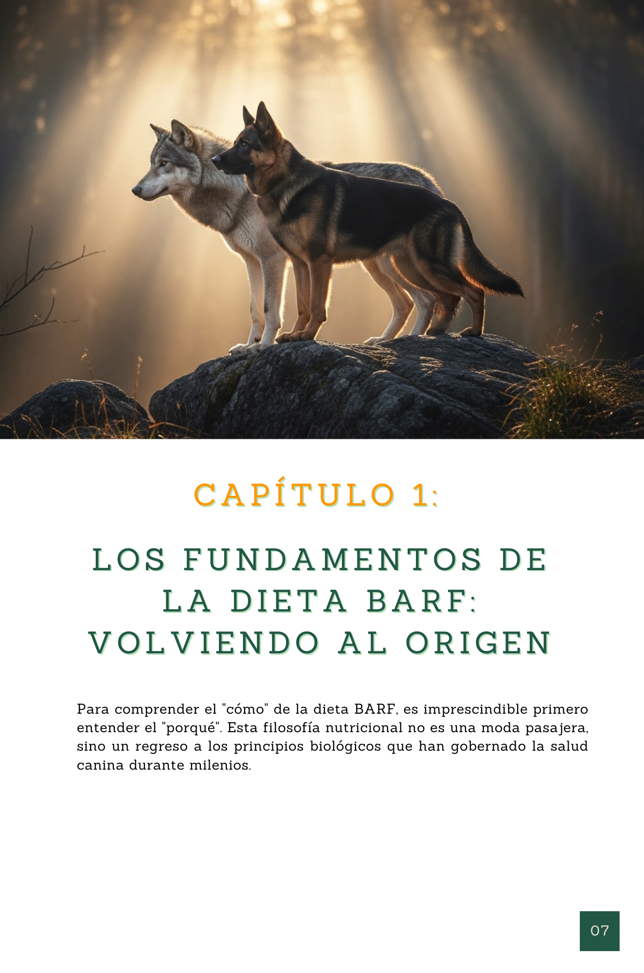 Método BARF Total (3)