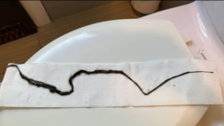 Diseño sin título (54)