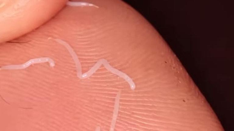 Diseño sin título (55)