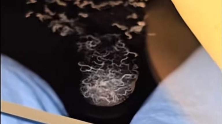 Diseño sin título (56)