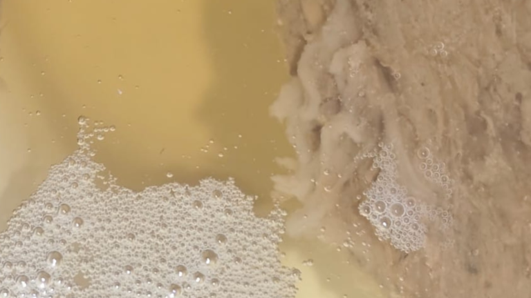 Diseño sin título (57)