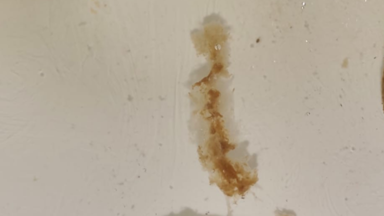 Diseño sin título (58)