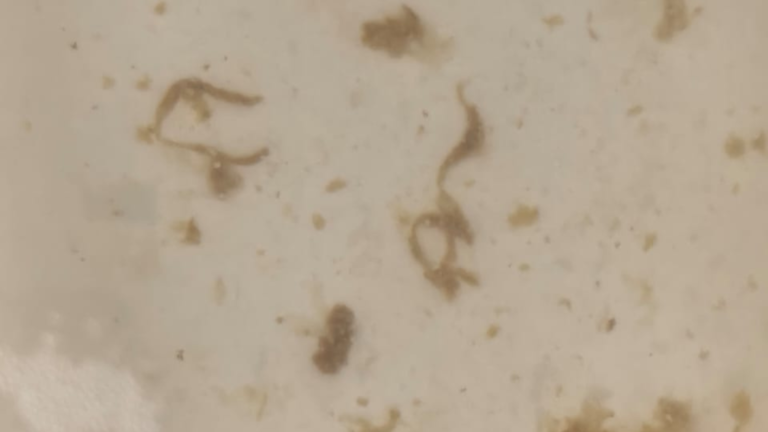 Diseño sin título (60)